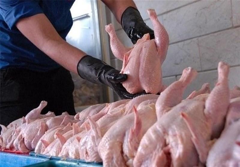 کاهش قیمت مرغ در روزهای آینده، نیازی به واردات مرغ نداریم