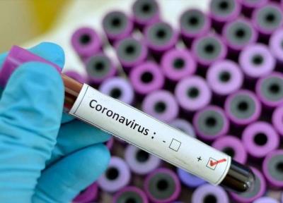 آسوشیتدپرس: مقامات آمریکا در واکنش به ویروس کرونا عقب بوده اند