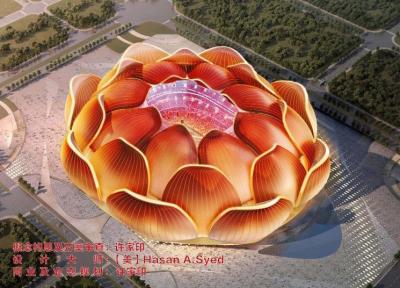 (عکس) ساخت ورزشگاهی خاص در چین
