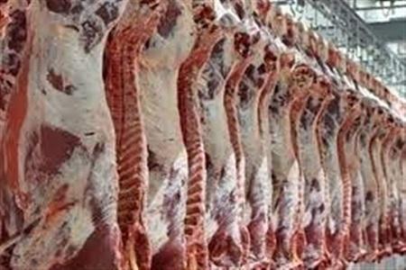 تامین ذخایر گوشت کشور با خرید تولید داخل، هر کیلو 70 هزار تومان
