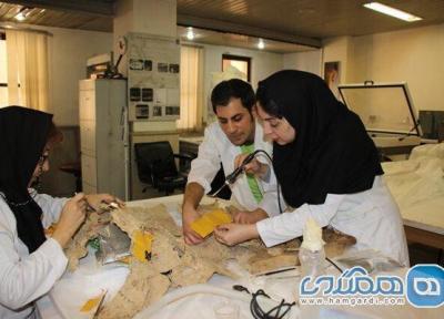 قدیمی ترین اشیای چرمی کشف شده در ایران بازسازی شدند