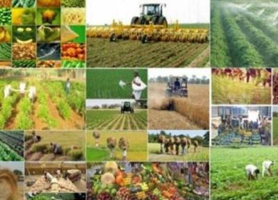 چهار طرح کشاورزی در زرند به بهره برداری می رسد